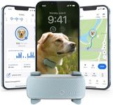 Tractive GPS Dog Tracker (2025 Release) | Real-time Pet Location Tracker | Health & Wellness Alerts | Virtual Fence for Dogs | Bark Monitoring | Dog Collar Attachment (Mint)