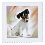 3dRose qs_4236_3 Jack Russell Terrier Quilt Square, 8 by 8-Inch