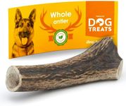 GIGIL Treat You pet Like a King - 100% Natural Deer Antlers for Medium Dogs - Premium Elk Antlers - Long Lasting Dog Chew Toy - Naturally Shed and Organic Antlers for Dogs - Size M