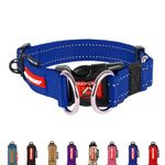 EZYDOG Double Up Dog Collar | Dog Collar Small, Medium, Large Dogs, Reflective Dog Collar, Supreme Comfort, Soft Neoprene Material, Strong Nylon Webbing (Medium, Blue)