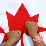 Anley Rip-Proof Technology Double Sided 3-Ply Canada Flag 3x5 Foot - Vivid Color, Canvas Header and Wrinkle Resistant - The Strongest, Longest Lasting Canadian Flags 3 X 5 Ft