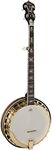 Washburn Americana Series B17K-D 5 