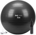 Everlast 75cm Burst-Resistant Fitness Ball - Tone Upper & Lower Body, Enhance Balance & Flexibility, Includes Two-Way Hand Pump, Great for Home Gym, Pilates, Yoga