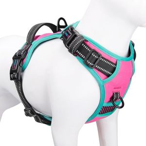 PHOEPET 2019 Upgraded No Pull Dog Harness,3M Reflective Adjustable Vest, with a Training Handle + 2 Metal Leash Hooks+ 3 Snap Buckles +4 Slide Buckles(S, Pink)