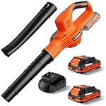 Leaf Blower Cordless with 2 Batteri