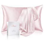 LOOMBERRY 100% Natural 22 Momme Pure Mulberry Silk Pillowcase for Hair and Skin Both Sides 22 Momme Highest Grade 6A with Hidden Zipper (Pink, Standard (50x66CM))