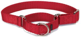 PetSafe Martingale Collar, 3/4" Medium, Red