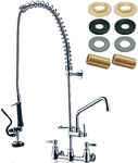 PALUKIA Commercial Faucet with Spra