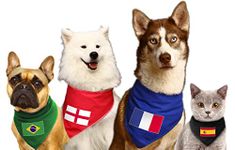 Spoilt Rotten Pets S4 Any Country Flag Sports Fan Supporter Dog or Cat Bandana All Teams Qatar, Serbia, Canada, Portugal, Mexico, England etc (S4 Large Dogs Newfies, GSD & Chow Chow)