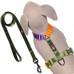 PETS LIKE PREFECT CREATION Dog Harness and Training Leash Set| Dog Harness for Puppy Dogs| Dog Harness Comes with Olivine Color for Small Size Dogs Harness & Leash Pack of 2..