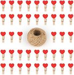 G2PLUS 100PCS Mini Wooden Heart Peg