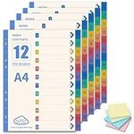 QZQ 12part File Dividers A4-5pack Folder Dividers Assorted Multi-Colours Binder Dividers Wide Tabs Index Divider, Plastic Folder A4 Pre Punched Lever Arch Subject Dividers for Office School Home