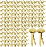 Hapy Shop Paper Fasteners,Medium 3/4-Inch Brass Plated Scrapbooking Brads Round Metal Brads for Crafts Making DIY,300 Pack