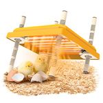 10"x10" Chick Brooder Heating Plate - Chick incubator heating lamp - Adjustable Height - MAX heating temperature 55 ℃/131 ° F Suitable for 15 chicks (Color British Standard)