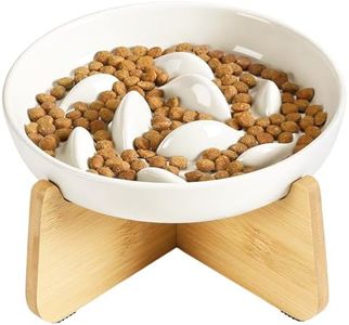 Slow Feeder Cat Bowl with Stand, Ceramic Slow Eating Cat Bowl with Higher Edges Fish Pool Design Elevated Cat Food Bowl for Dry and Wet Food Anti-Vomiting Cat Puzzle Feeder for Healthy Eating Diet