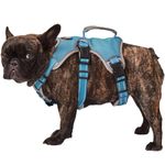 Paworld Escape Proof Dog Harness, Fully Reflective Harness with Padded Handle, Breathable,Durable, Adjustable Vest for Small Medium Large Dogs Walking, Training, and Running Gear (Blue, M)