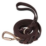 Joytale Leather Dog Lead, Genuine Cowhide Leather Lead 1.5m* 2cm, Heavy Duty Dog Lead with Lightweight Aluminum Hook, Soft and Durable Lead for Large Medium Dogs, Brown