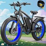 6000W Peak Dual Motor Ebike for Adu