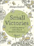 Small Victories: A Colouring Book of Little Wins and Miniature Masterpieces