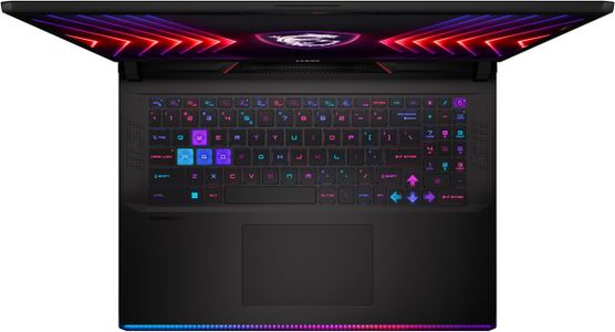 MSI Raider 17” QHD+ 240Hz Gaming Laptop – High-Performance Display