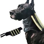 Pet Cervical Collar Neck Brace for 