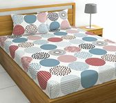 LORETO – A QUALITY LINEN BRAND 144 Tc Pure Cotton Daily Use Queen Size Double Bedsheet With 2 Pillow Covers -Pink And Blue Dotted Circle