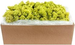 SuperMoss 59834 21497 7 Moss, Appx. 10 lb Bulk Case, Chartreuse