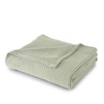 Sun Yin 100% Cotton Blanket, King, Light Green