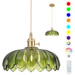 Loiogohot Battery Operated Pendant Light,Vintage Light Fixtures RGB Rechargeable Light Bulb 2500mAh 9.8in with Remote Control Wireless Adjustable Chandelier for Kitchen Island Hallway 1 Light