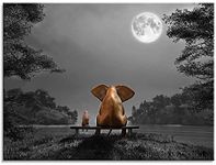 Wall Art for Bathroom Animal Restin