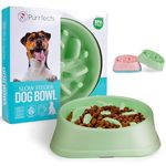 Purrfects - Slow Feeder Dog Bowl (Mint Green) - Anti Choke, Anti Bloat - Slow feeder dog bowl slow feeder dog feeders to slow feeding dog bowls