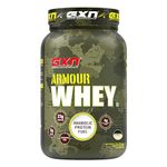 Greenex Nutrition Armour Whey Muscle Mass Gainer Whey Protein Powder For Strength & Stamina (23g Protein, 4g Glutamine, 5g EAA) (Kulfi Treat, 4.4 lbs)