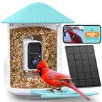 NETVUE by Birdfy Smart Bird Feeder Camera: Auto-Capture Video & Instant Alert, Collect Fun Clips, Solar Powered Bird Watching Camera Wireless Outdoor Garden, Blue