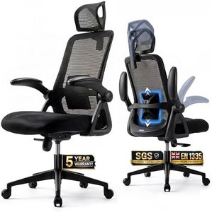 Realm of Thrones Mesh Ergonomic Office Chair for Back Support & Long Hours