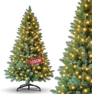 Sapin de N