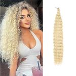 LDGUGO Deep Wave Crochet Hair Long Curly Braiding Hair for Boho Braids Ocean Wave Braiding Hair for Women 24 Inch Pack of 1