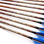 12 x 31 Carbon Arrows Feather Compo