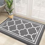 Homaxy Washable Door Mats Indoor, D