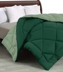 Cloth Fusion Reversible AC Comforter Double Bed King Size Quilt Blanket for Winter (200 GSM, Sage Green & Light Green)