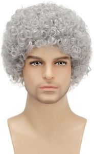 Daiaces Mens Curly Afro Wigs Silver Grey Short Wig for Male,Guy California Daily Halloween Party Cosplay Costume Full Wigs