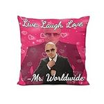 Live Laugh Love Bedroom Sofa Pillowcase Home Decorative Worldwide Cushion Mr Meme Pillow Covers Couch Square Throw Pillow Case 18x18 in