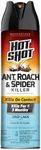 Hot Shot Ant, Roach & Spider Killer