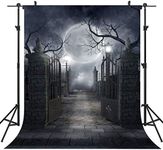 Ouyida Halloween Horror Night 6X9FT