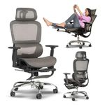 DROGO Ergonomic Office Chair for Work from Home, Computer Chair with Breathable Mesh, Adjustable Seat, Footrest, 3D Armrest, 2D Headrest & Lumbar Support | Mesh Chair for Office/Home (Grey)