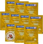 Red Star Premier Blanc Wine Yeast (10 Pack) - Great for Making Wine Cider Mead Kombucha at Home - 5 g Sachets - Saccharomyces cerevisiae - Sold by CAPYBARA Distributors Inc.