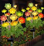 yeuago Solar Succulent Plant Lights - New Outdoor Waterproof Decorative Stake Lighting for Garden, Lawn, Patio & Balcony, Thoughtful Gift for Garden Lovers Housewarming Gift