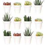 Youngever 24 Pack 2 Inch Mini Plastic Planters, Indoor Flower Plant Pots, White Gardening Pot with Drainage - NO Plant Included (Classic)