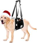 LOOBANI Dog Sling for Large Dogs Hind Leg Support, Portable Dog Lift Harness for Back Legs, Comfortable Leg Support Assistance for Elderly Dogs with Hip, ACL Brace, Senior, Injured (Large) Black