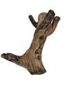 DKS STORES Driftwood for Aquarium Original Teak Wood 1.8 Kg Weight and 36 Cm Height(Random Shape)