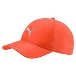 Puma Golf 2018 Men's Pounce Hat (Vi